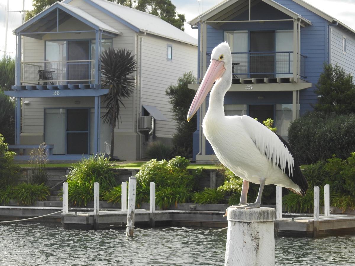 Captains Cove Resort - Waterfront Apartments Paynesville Extérieur photo